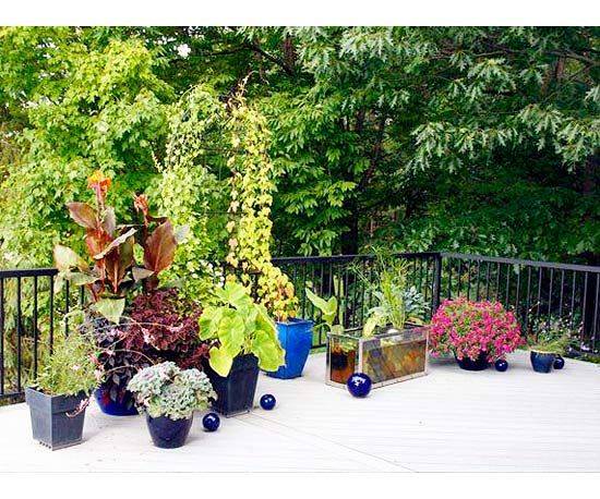 Garden Modern Design Modern Design