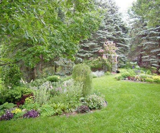 Shade Garden