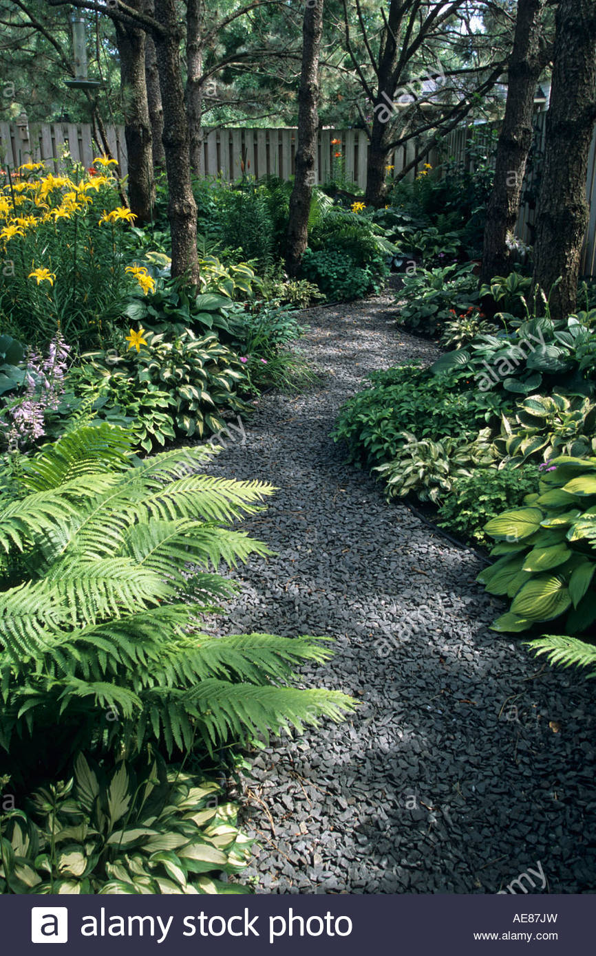 Shade Loving Plants Minnesota Garden Plant