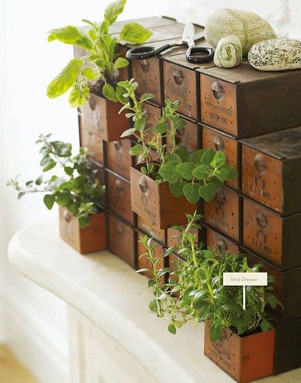 Diy Potted Herb Garden Ideas Simphome