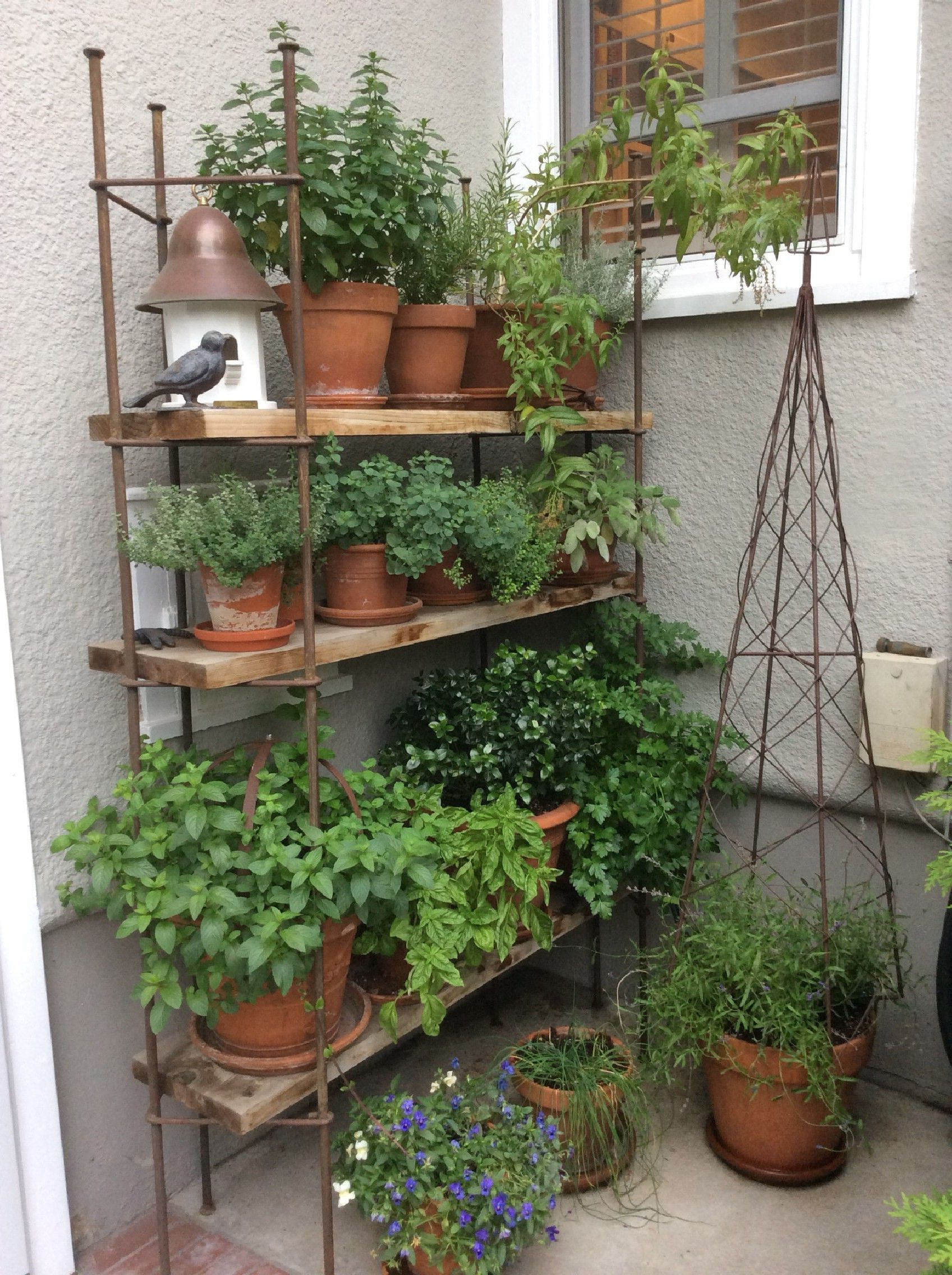 Herb Garden Indoor Ideas Page