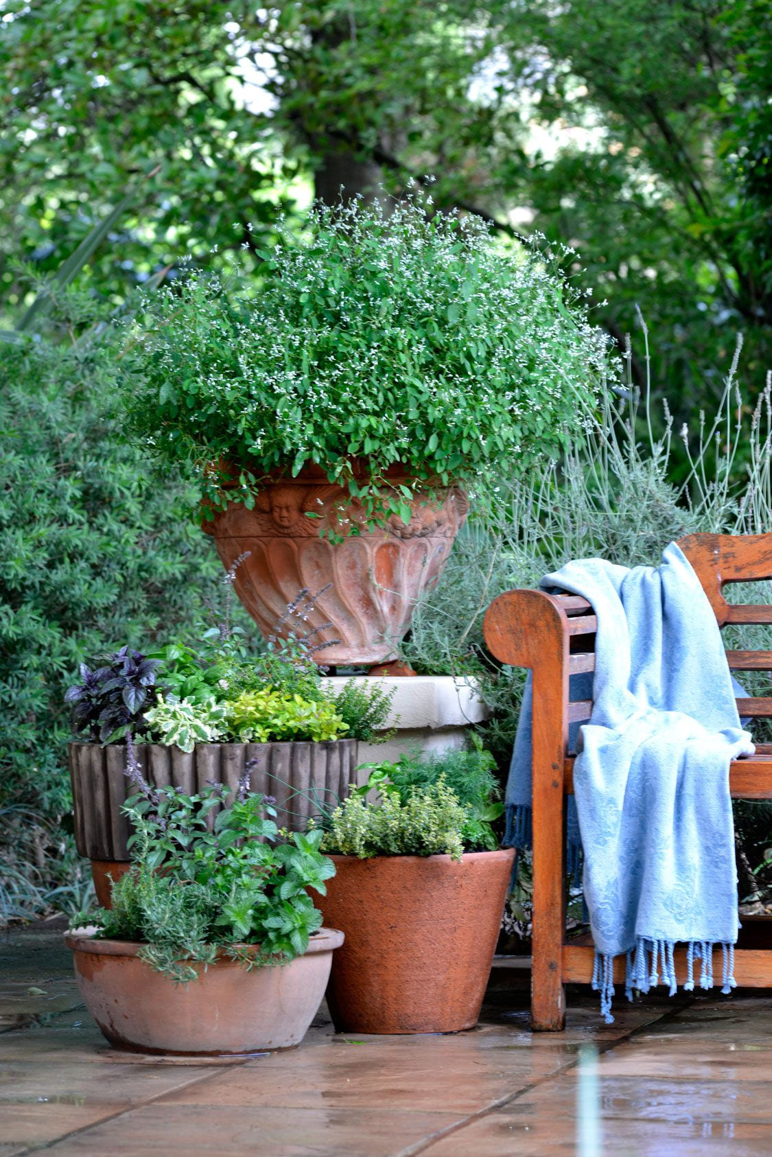 A Vertical Herb Garden