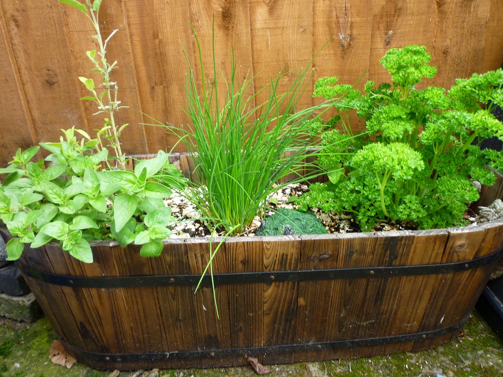 A Vertical Herb Garden