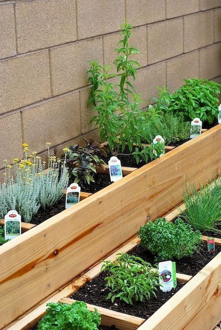 Your Vertical Herb Garden Gardening Viral