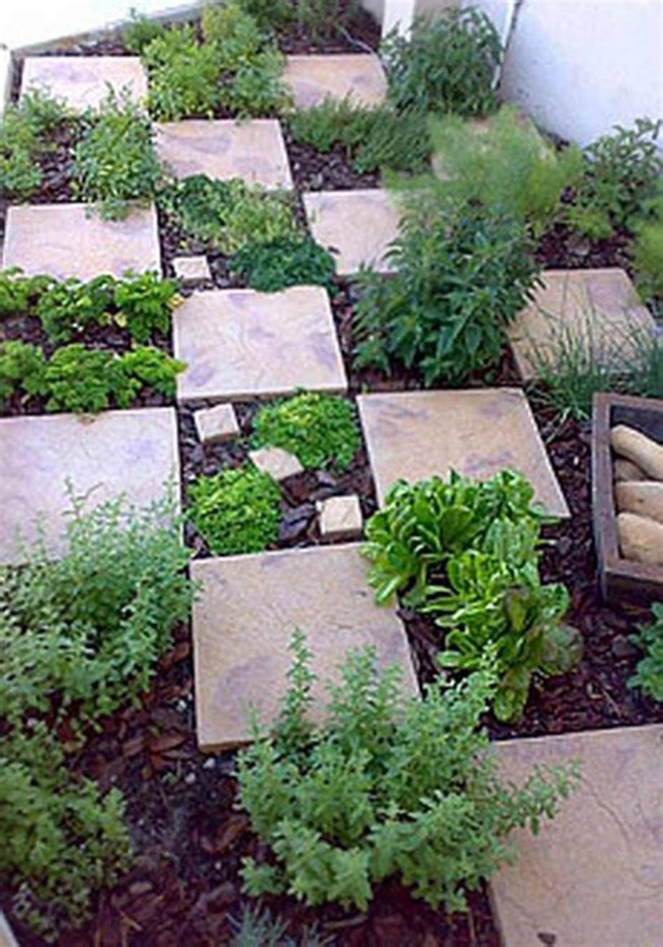 Simple Vertical Herb Garden