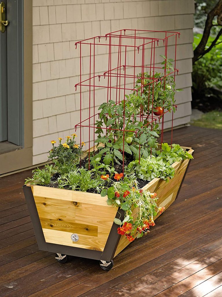 Herb Gardening Designs