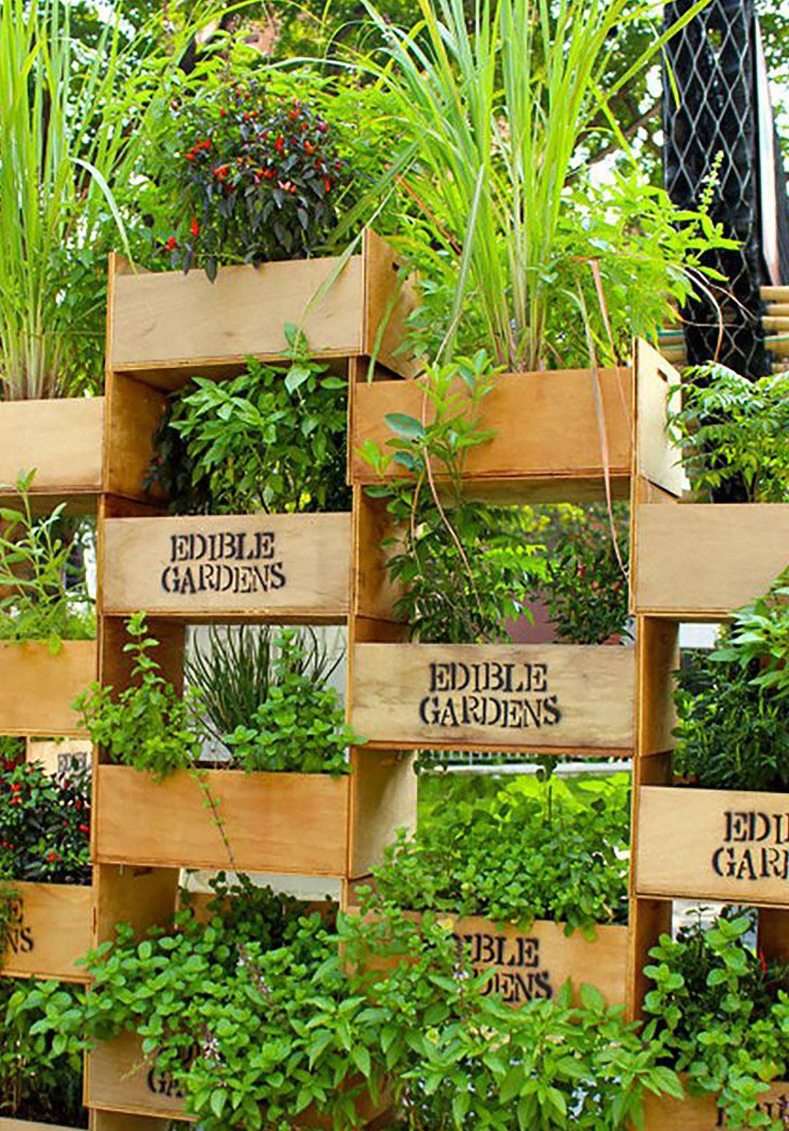 Container Herb Garden