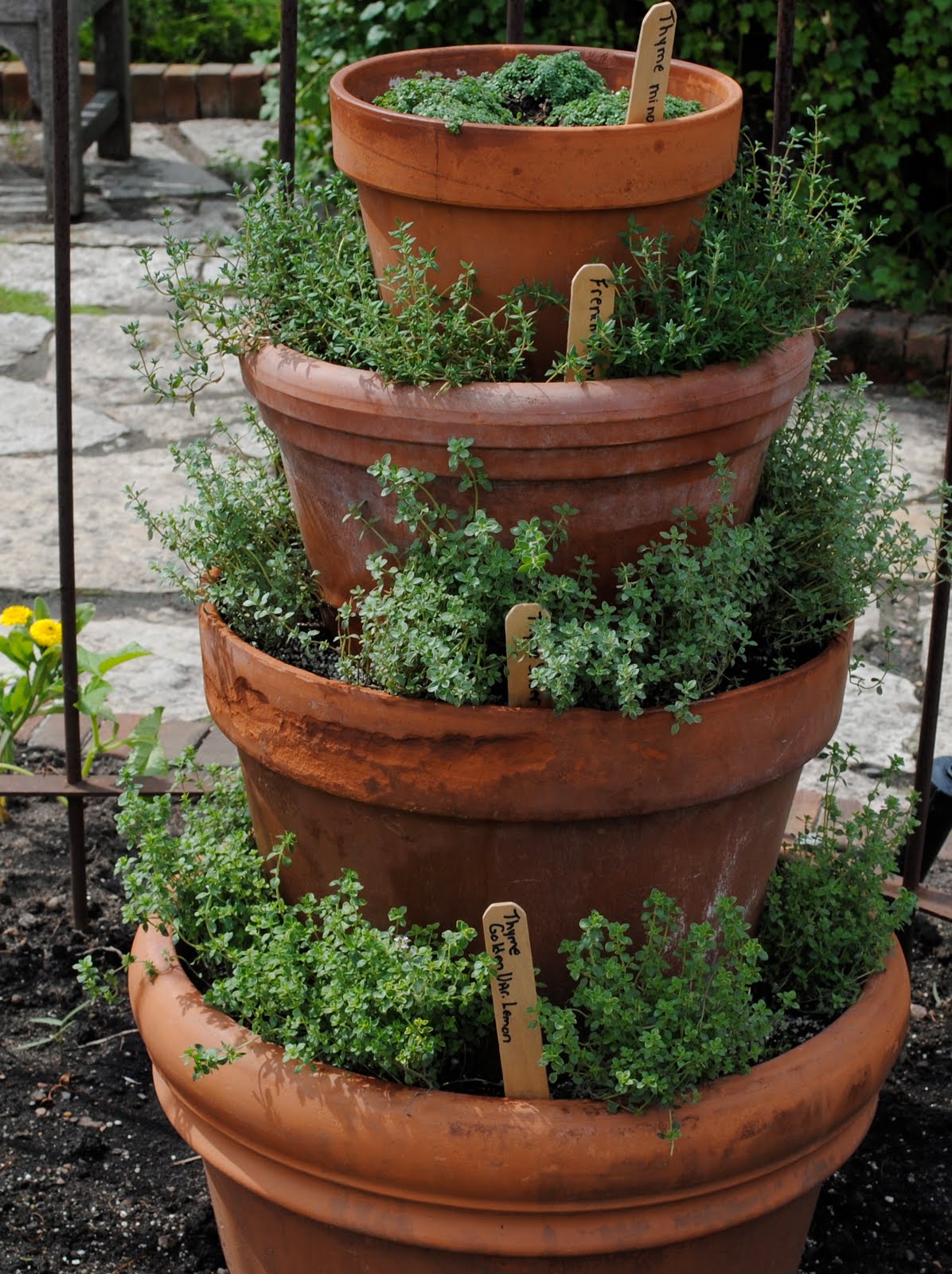 Herb Garden
