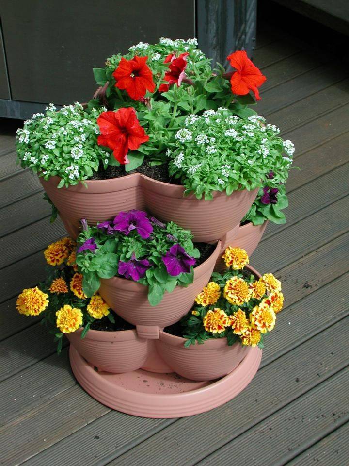 Container Gardening Top Home Information