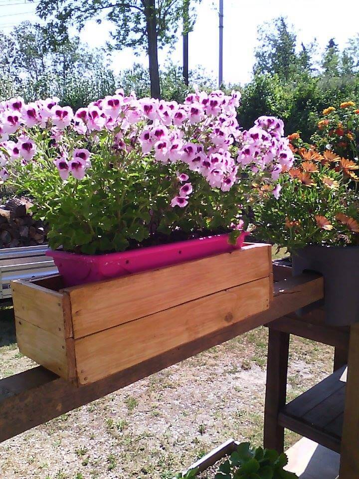 Wonderful Summer Container Garden Flower Ideas Page
