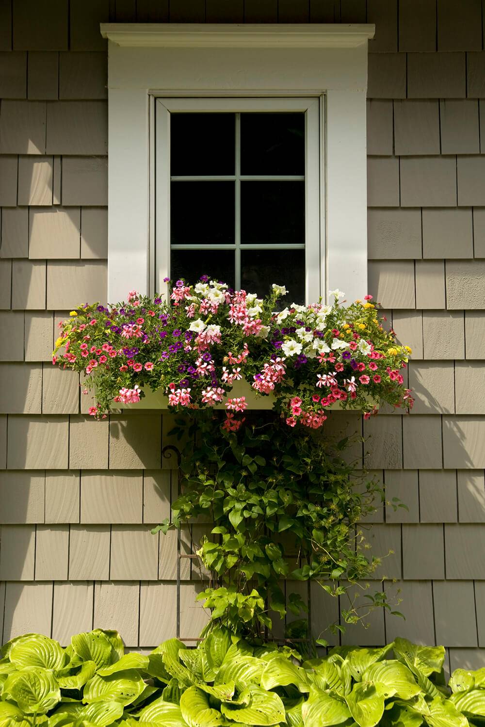 Containergardeningideas Window Box