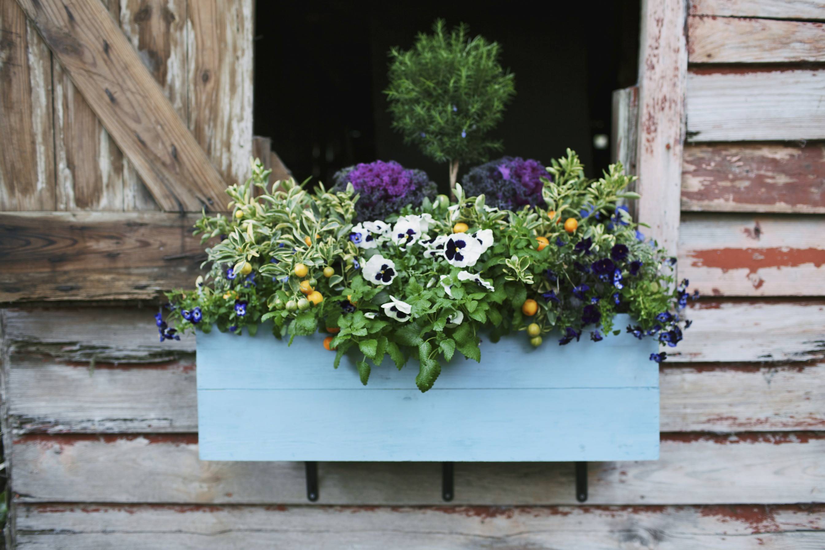 Pallet Planter Box