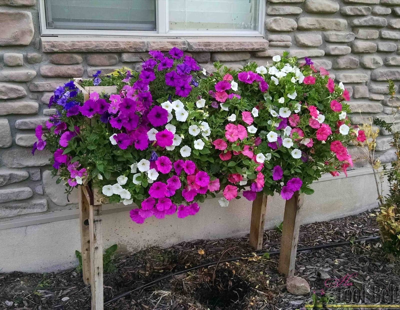 Personalized Diy Planter Box Ideas
