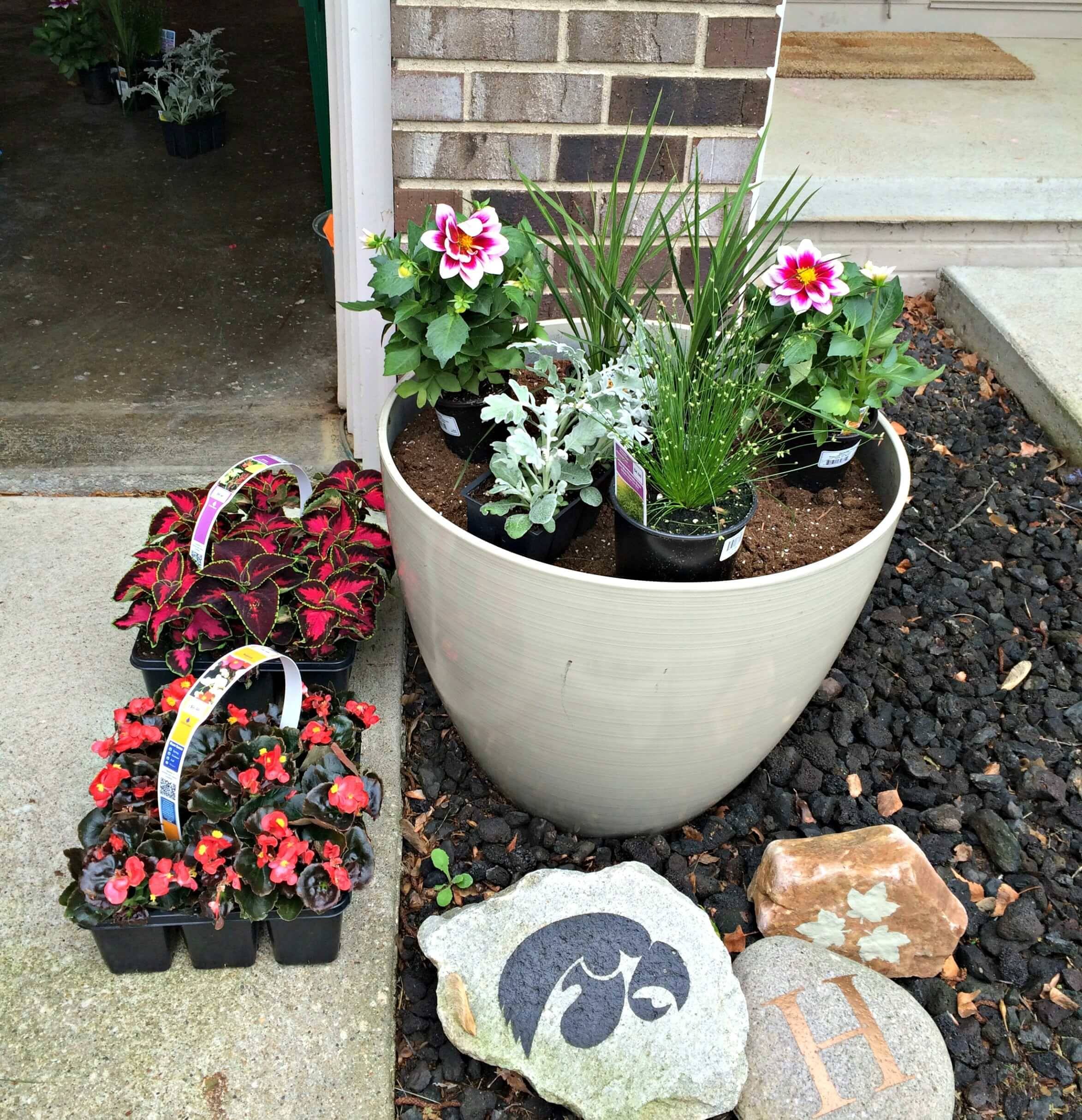 Beautiful Container Gardening Ideas