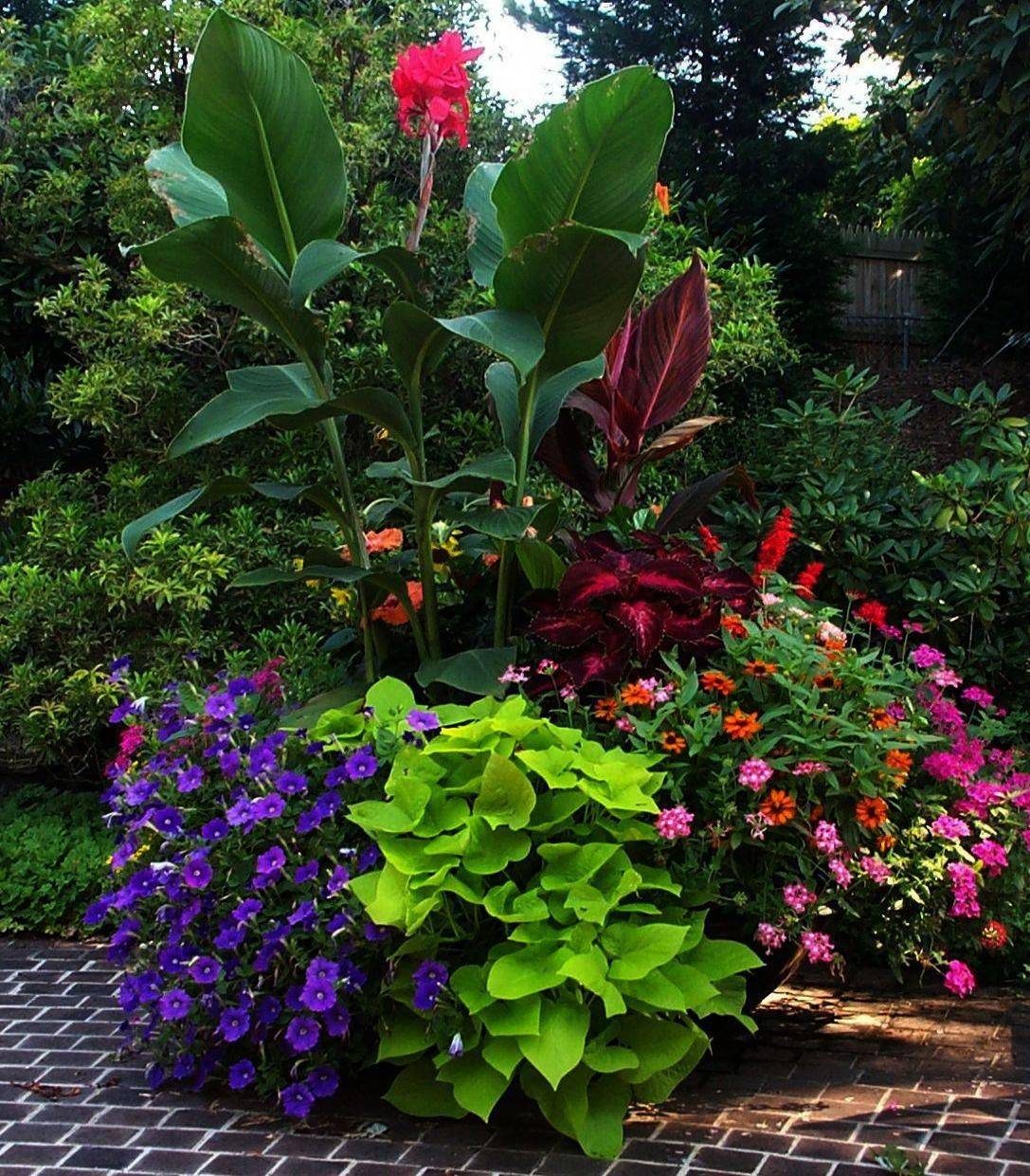 Container Plantings