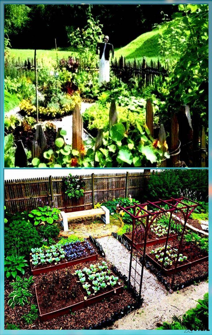 Harmony Woodland Garden