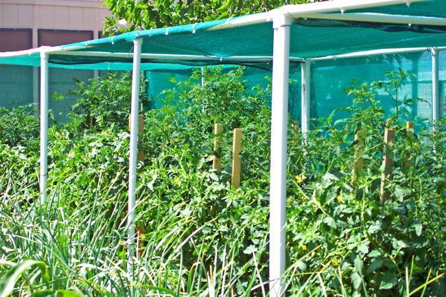 Shade Cloth Garden Netting