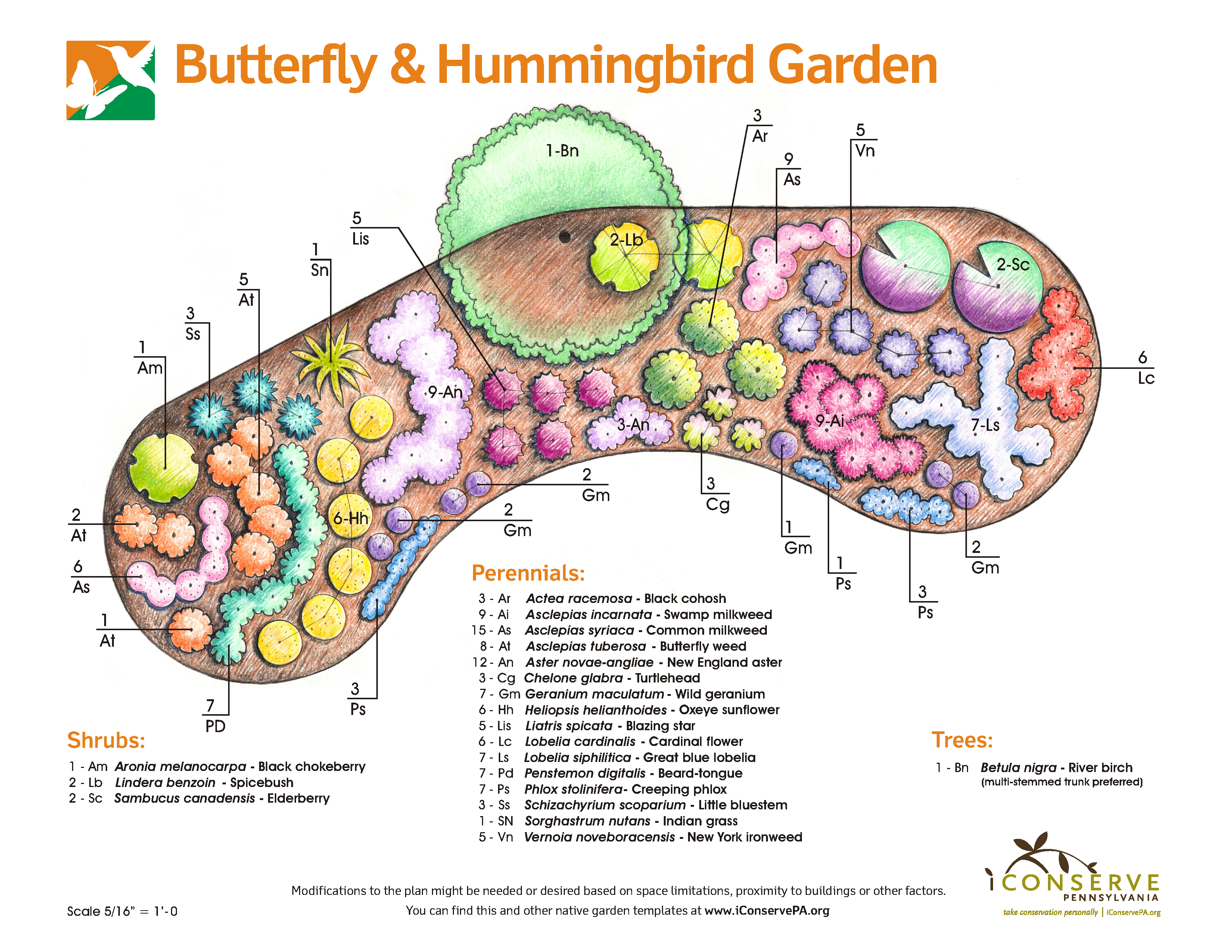 Butterfly And Hummingbird Garden Plan Video Hummingbird Garden Plan