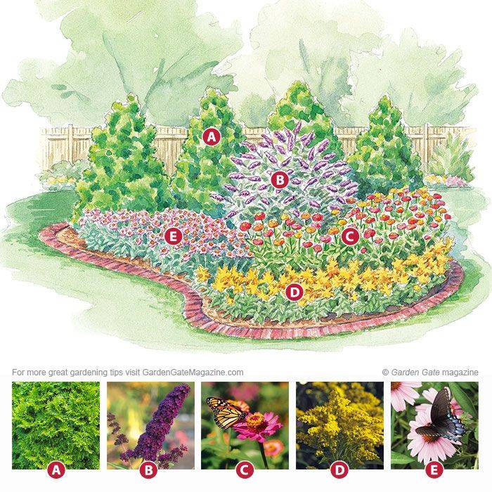 19 Butterfly Hummingbird Garden Plans Ideas For This Year SharonSable