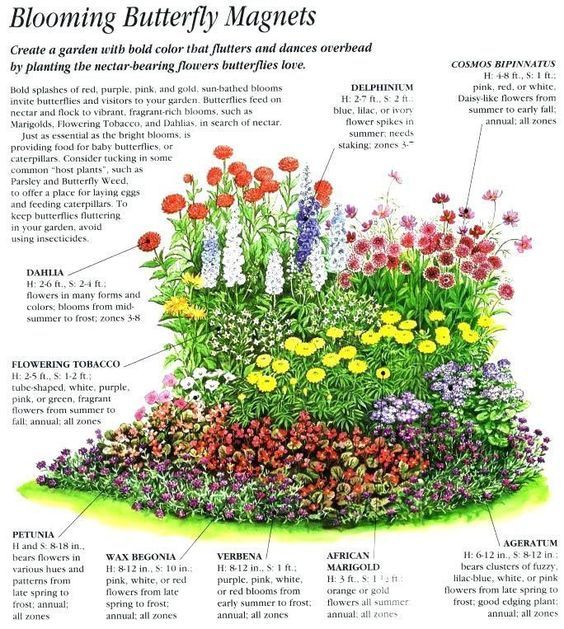 Garden Design Inspiration