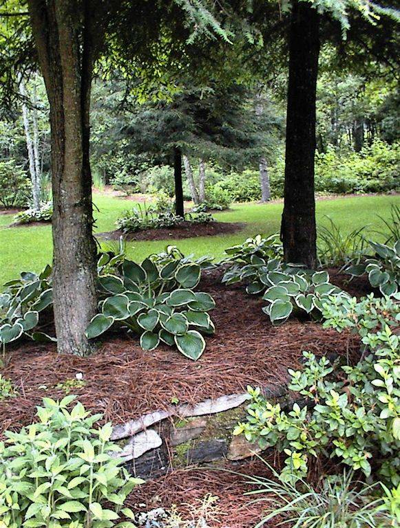 Best Chic Front Yard Garden