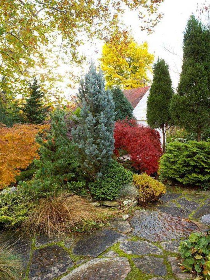 Nursery Conifer Garden