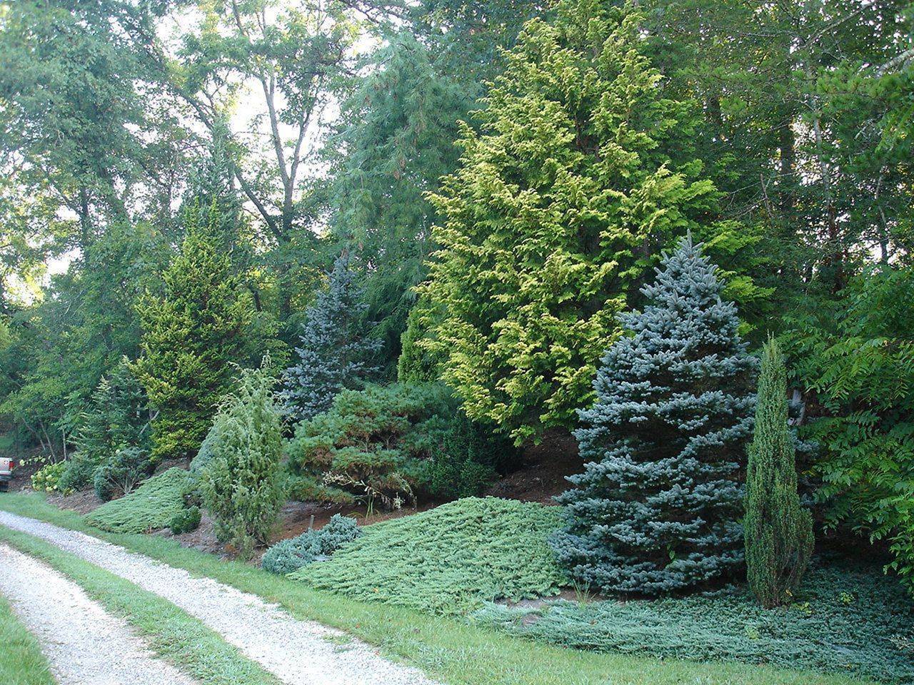 Randolph Indoor And Outdoor Design