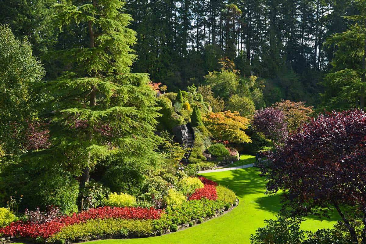 Front Yard Garden