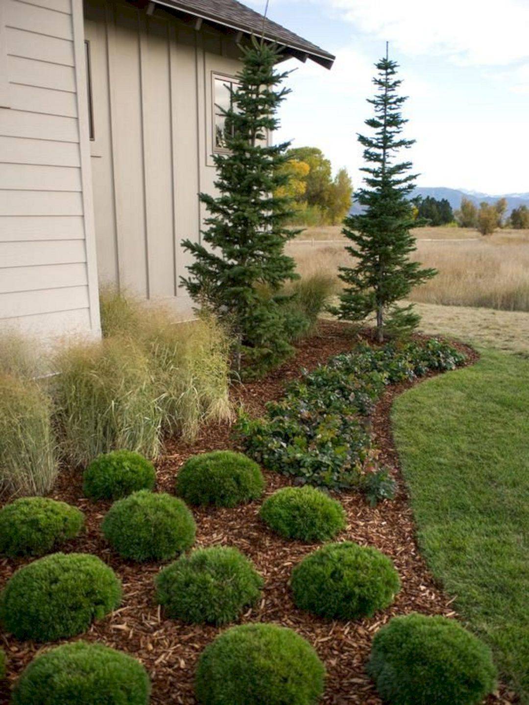 Georgia Backyard Landscaping