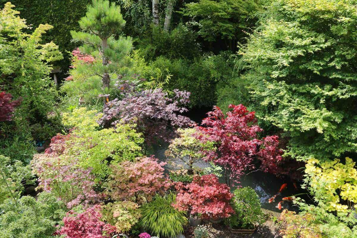 The Complete Care Guide Garden Tabs