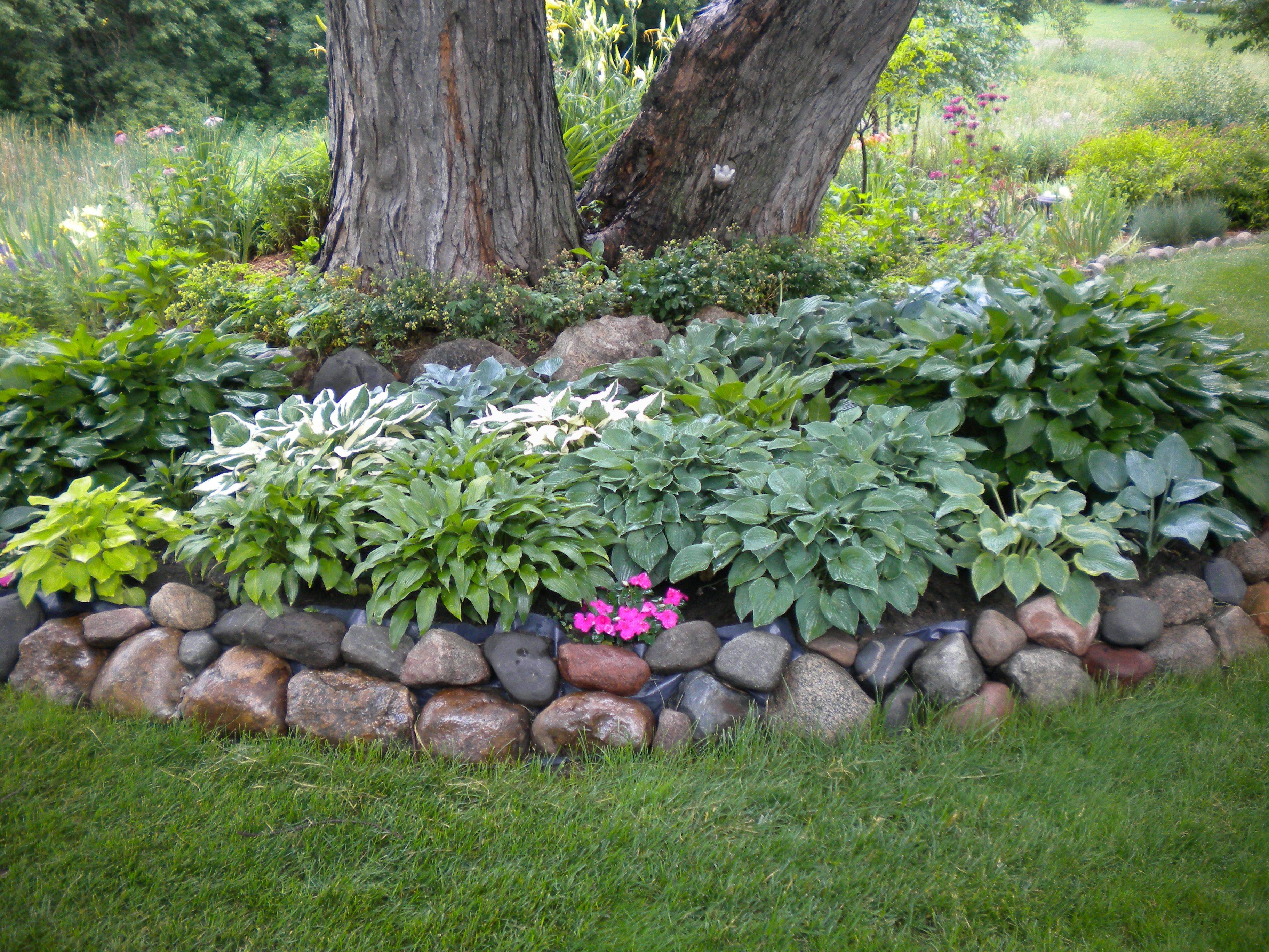 Landscaping Around Trees