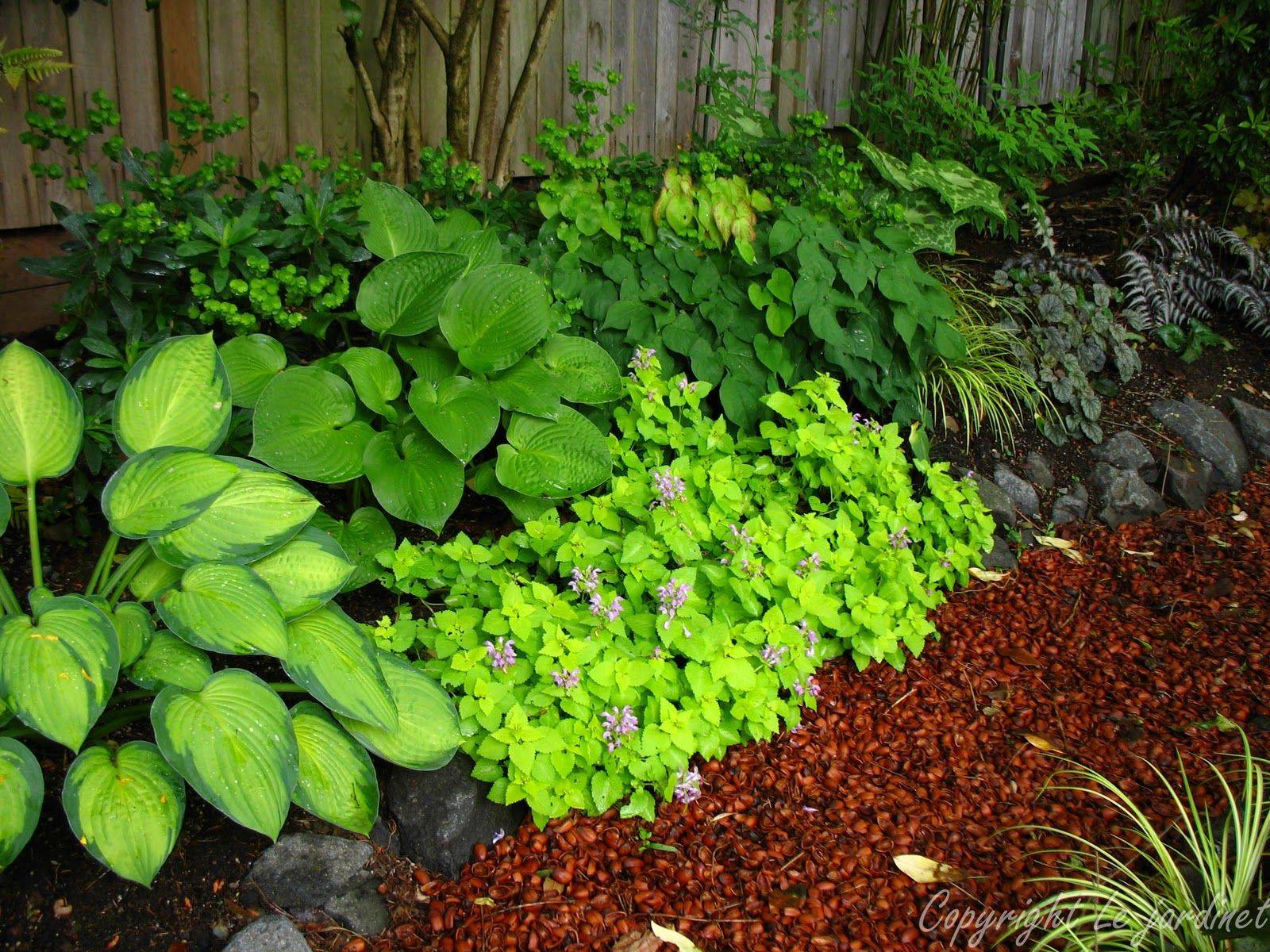 Inspiring Planting Combination Ideas