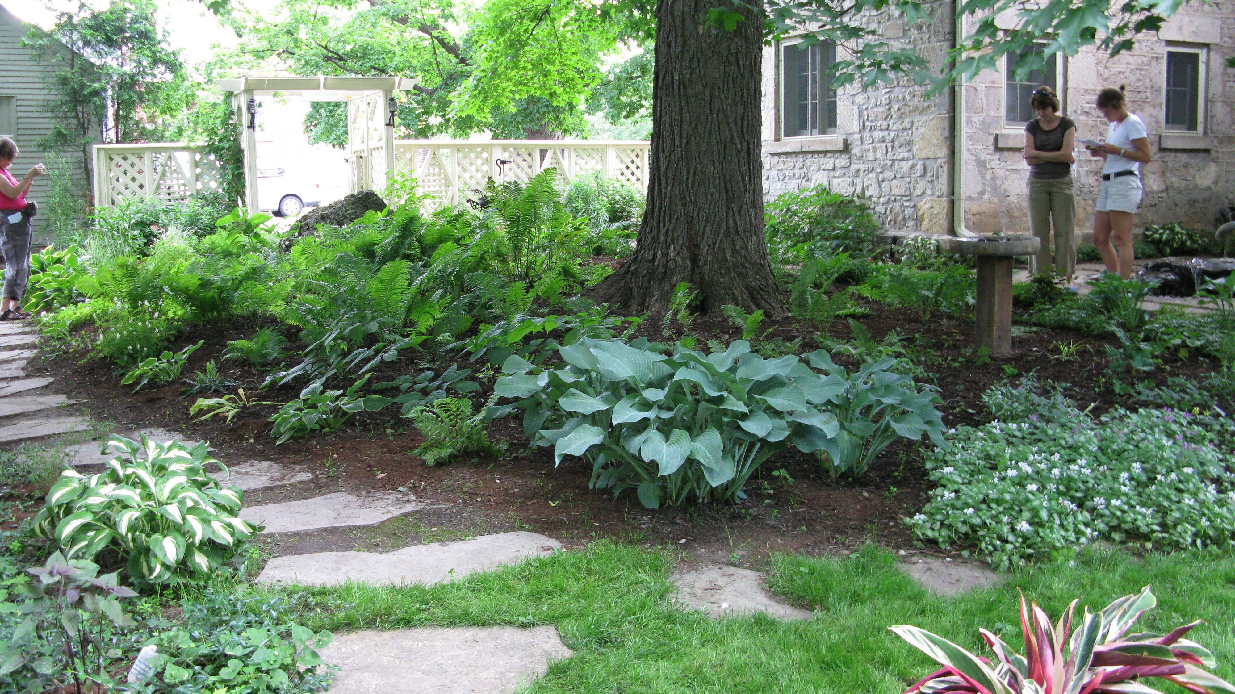 Hosta Garden Backyard Landscaping