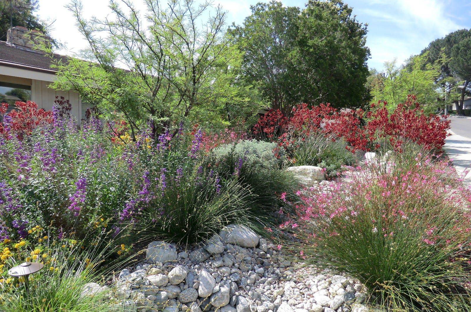 Stunning Desert Garden Landscaping Ideas