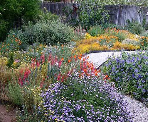 California Native Front Yard California Native Garden