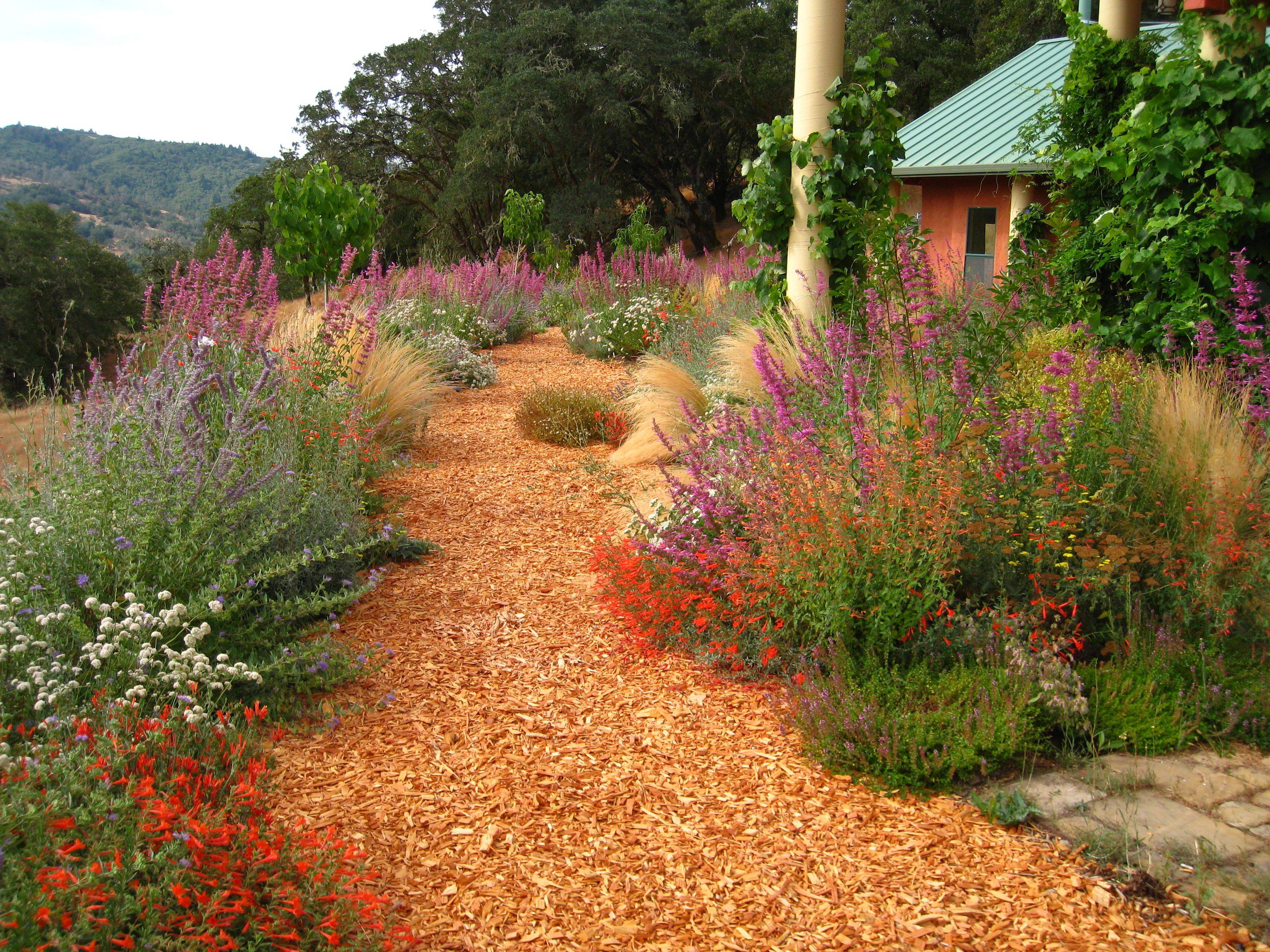 Native Garden Tour Ecological Landscape Alliance