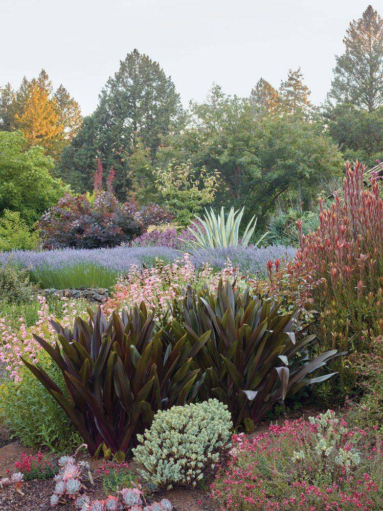Native Garden Tour Ecological Landscape Alliance