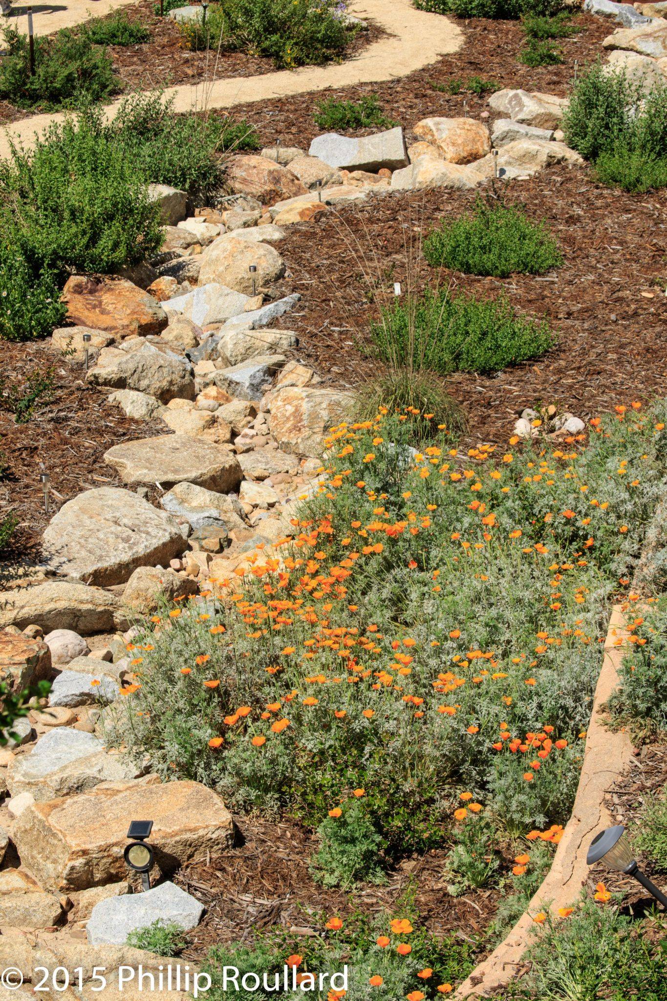 March Gardening Checklist