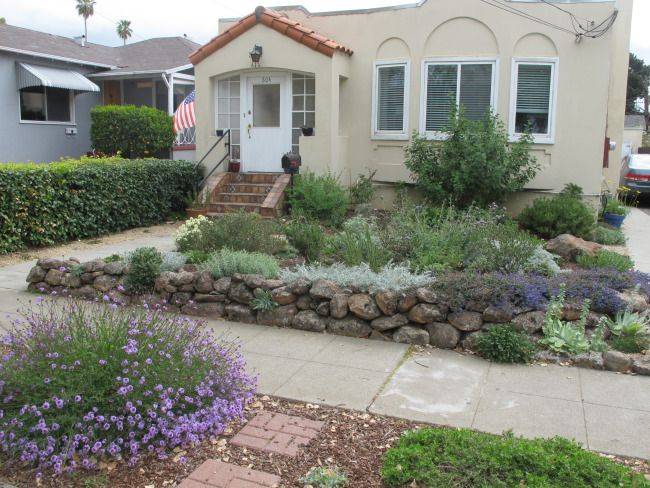 Del Mar California Native Plants