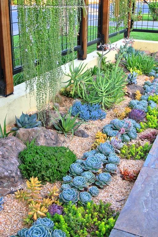 Catchy Outdoor Succulent Garden Ideas