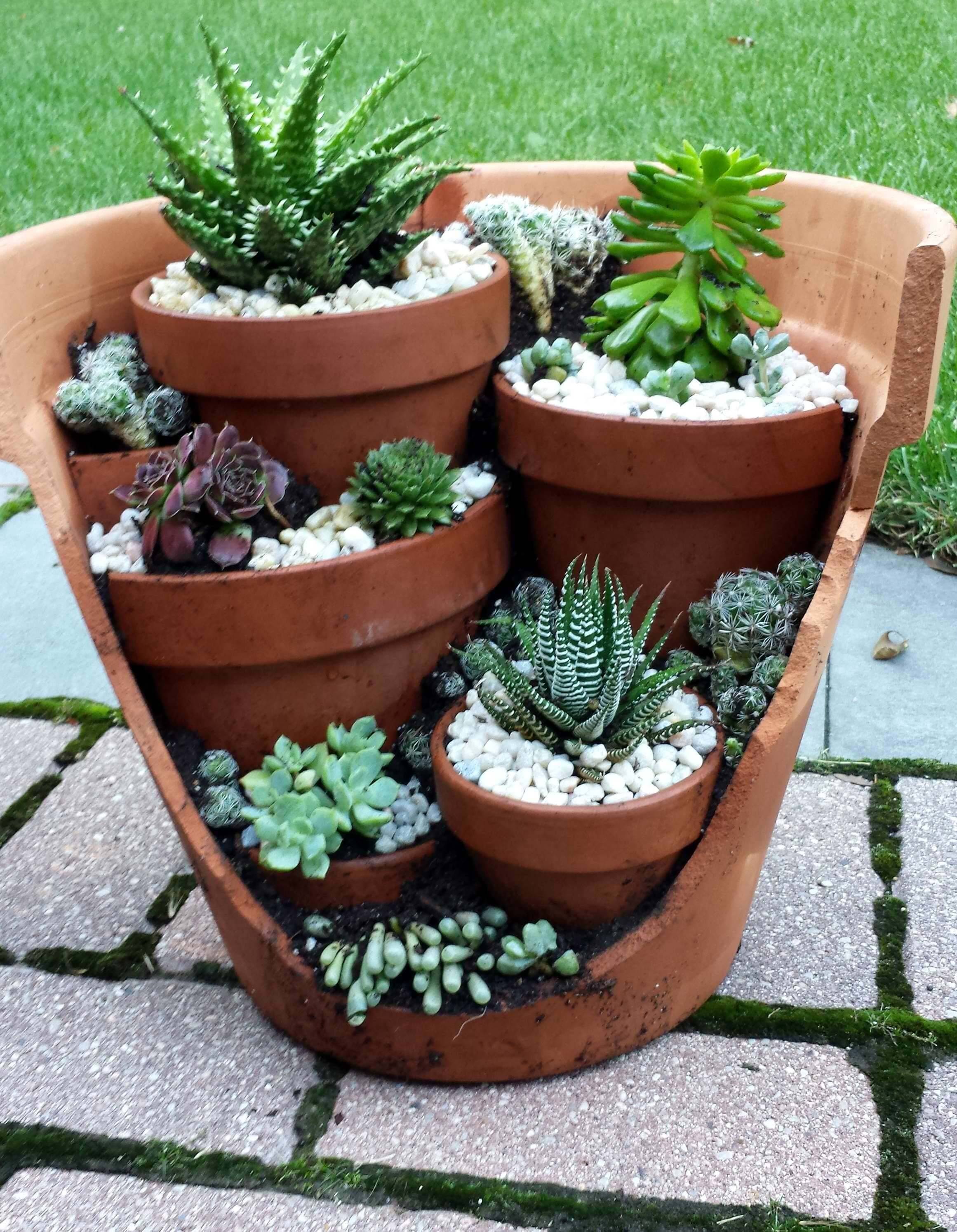 Awesome Succulent Front Yard Landscaping Ideas Magzhouse