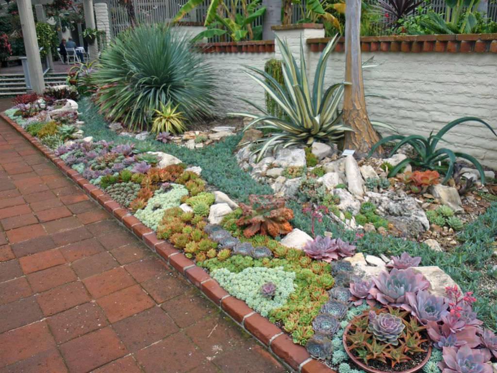 Best Succulent Garden Ideas