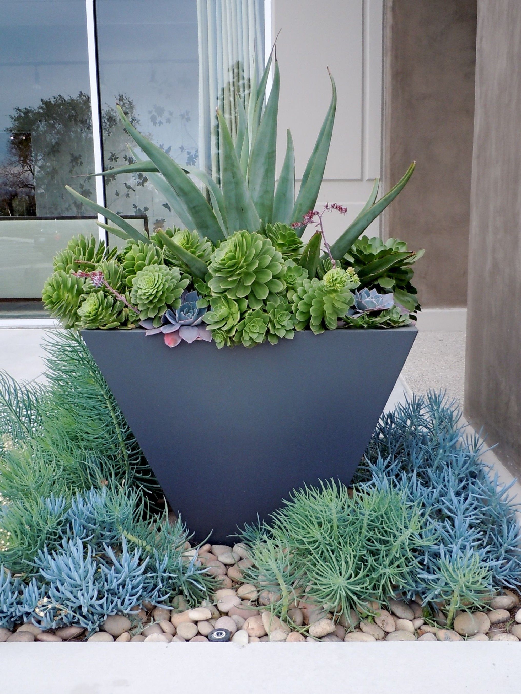 Succulent Garden Design Ideas Container Gardening Succulents In