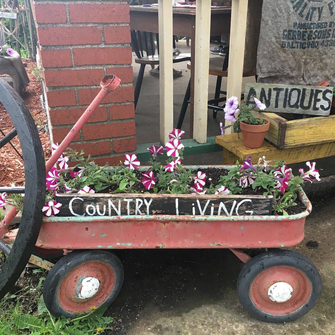 A Country Garden Garden Lovers Club