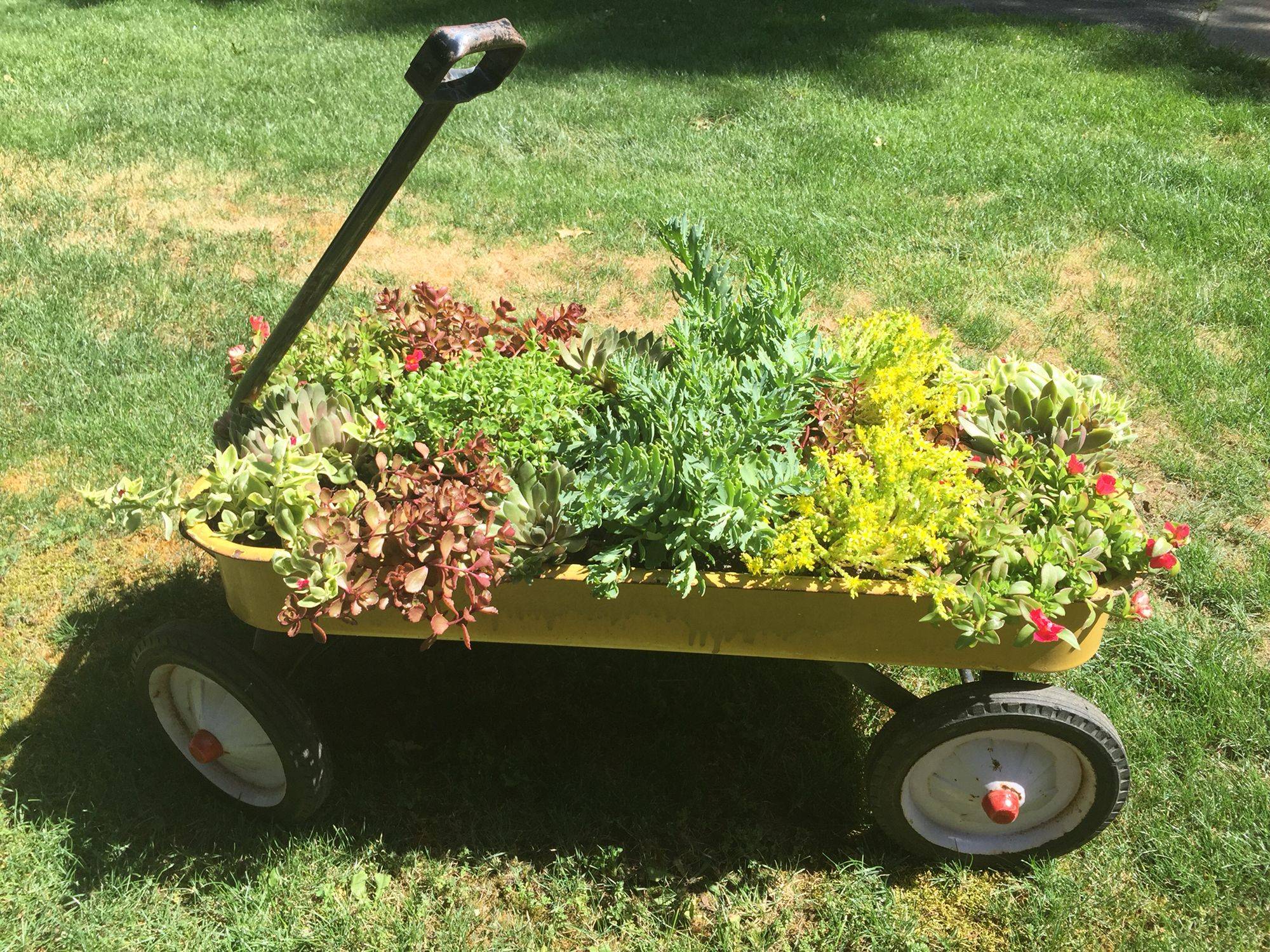 Vintage Garden Ideas