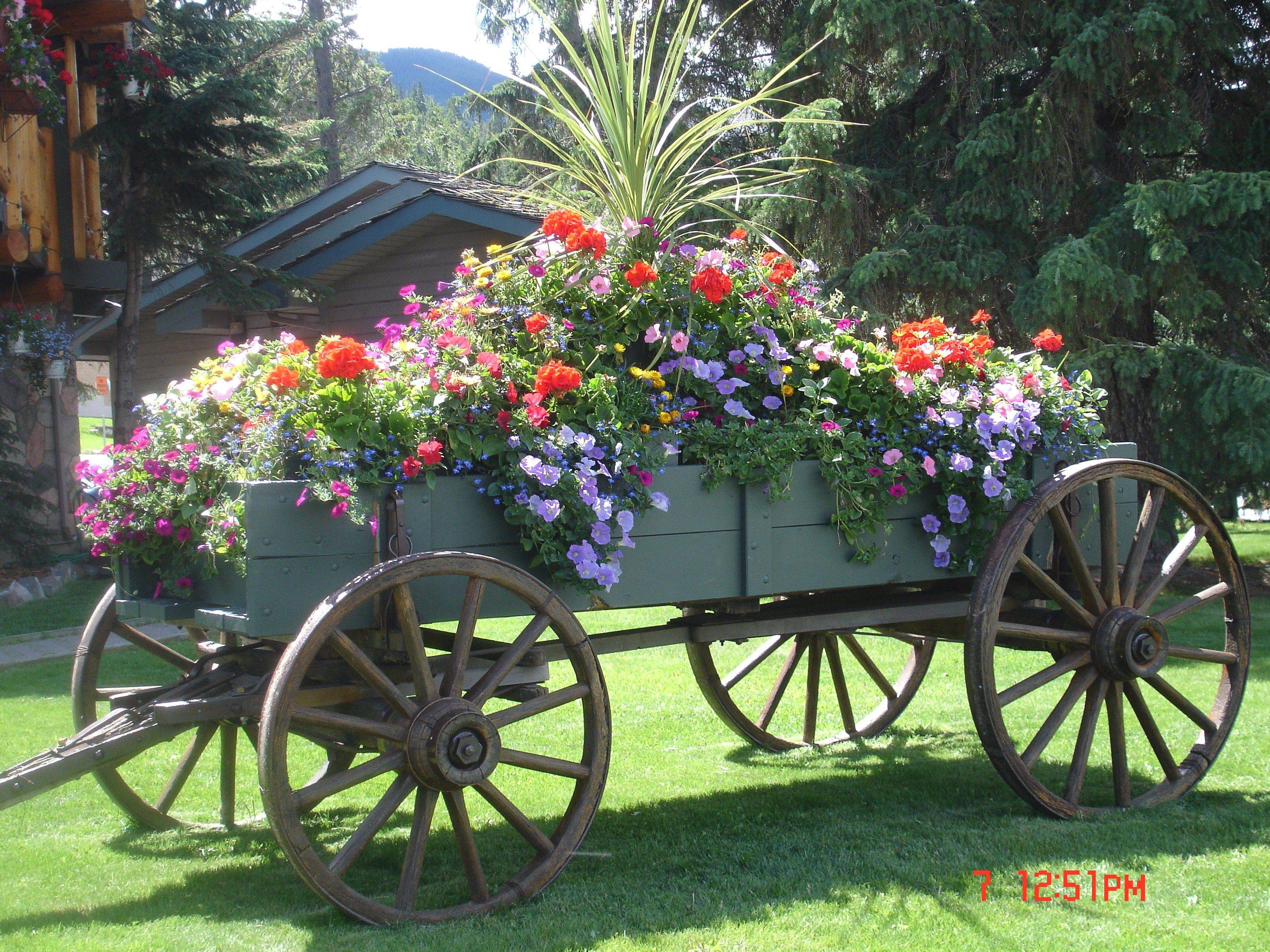 Planted Cart Flower Cart