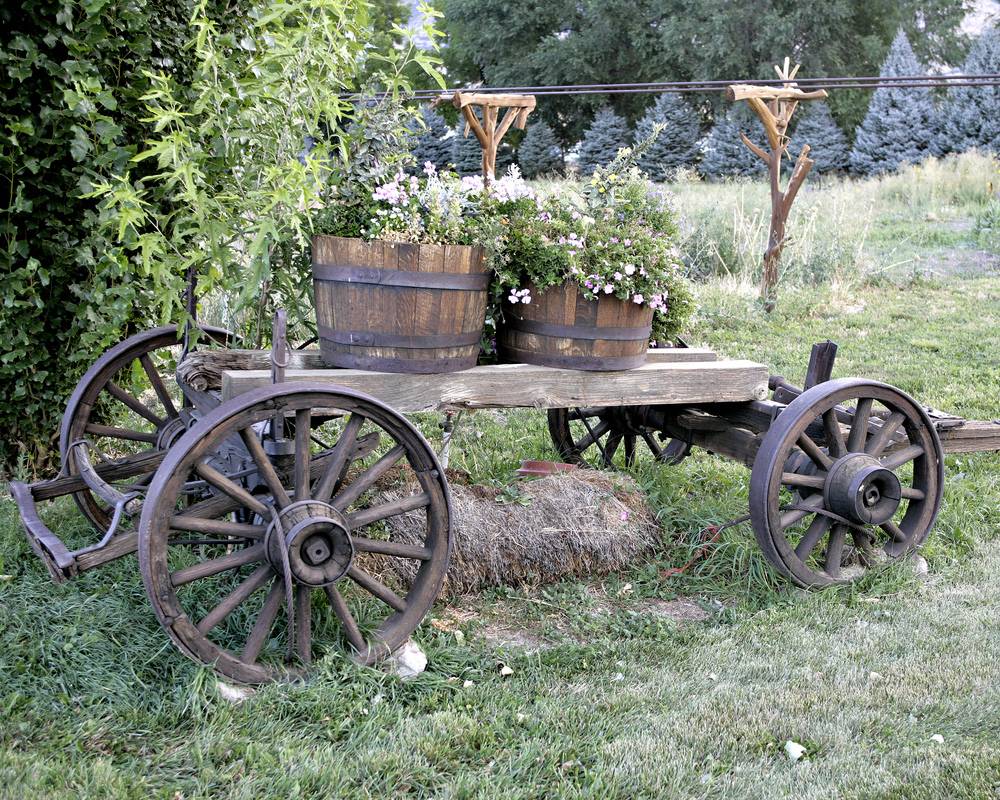 Wagon Garden Inspiration