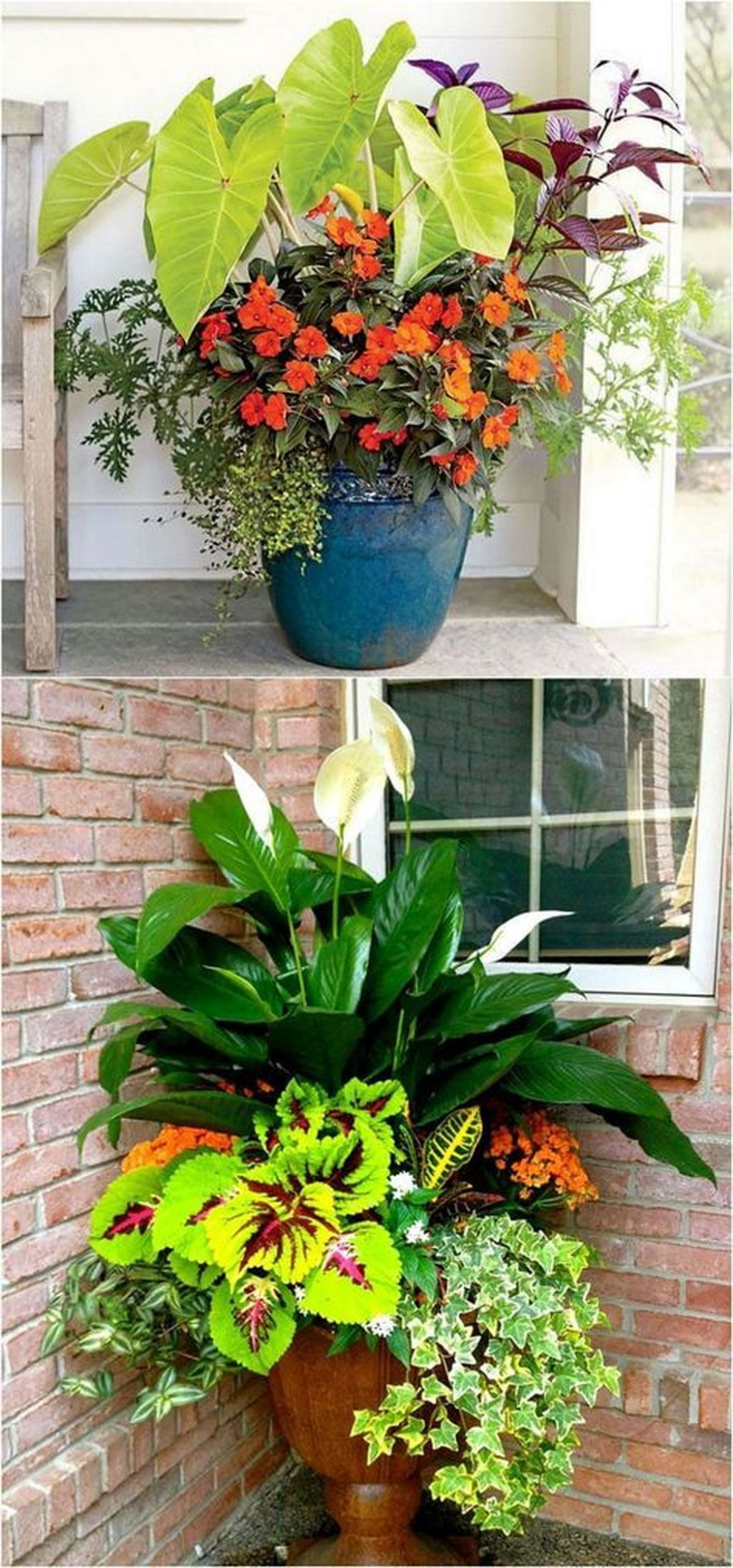 Awesome Shade Garden Ideas Go Travels Plan Container Garden