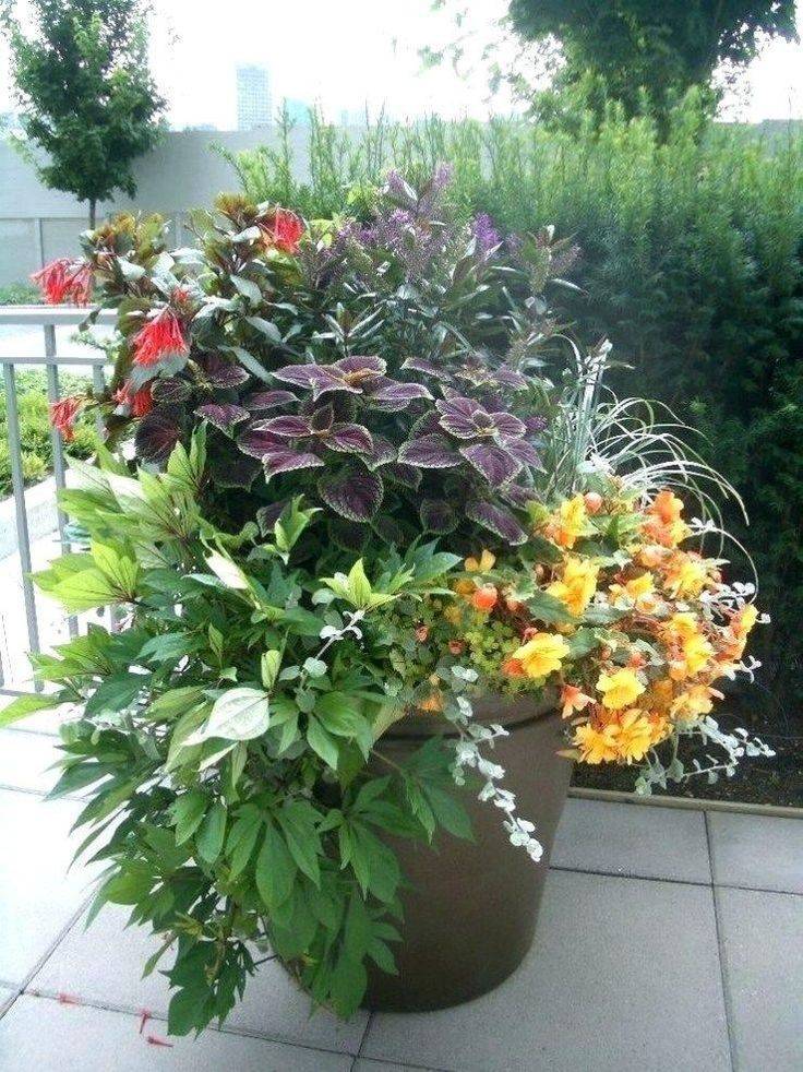 Colorful Shade Garden Pots And Plant Ideas Plants