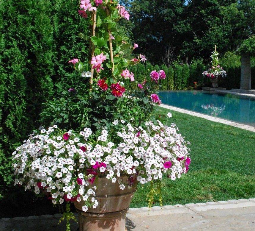Colorful Shade Garden Pots And Plant Ideas Plants